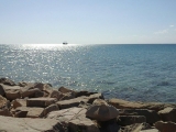 Foto 25-10-14 13 01 46