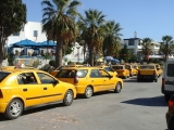Foto 25-10-14 13 07 04